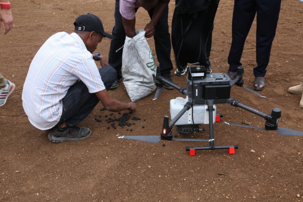 Sui droni vengono caricate delle palline di argilla contenenti semi e fertilizzanti